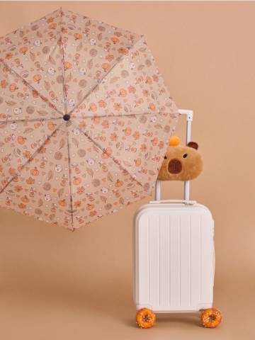 Парасолька - різнобарвний Парасолька - різнобарвний