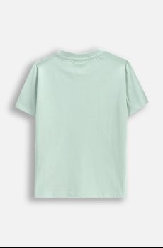 Футболка Coccodrillo