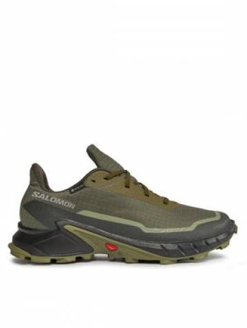 Salomon Взуття для бігу Alphacross 5 Gtx GORE-TEX 473103 29 W0 Зелений Salomon Взуття для бігу Alphacross 5 Gtx GORE-TEX 473103 29 W0 Зелений