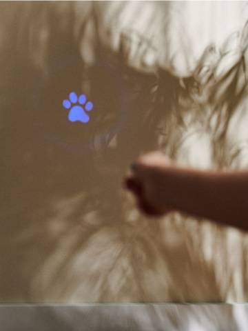 Іграшка для котів - блакитний Іграшка для котів - блакитний