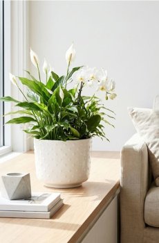 Керамічний горщик з тисненим візерунком - кремовий