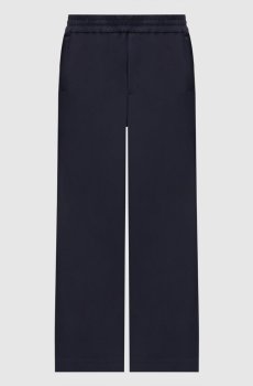 Синие спортивные штаны Shaw