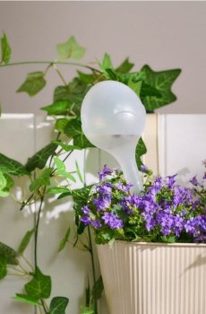 Наваднювачі для кімнатних рослин 2 pack - білий