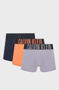 Мужские боксеры (3 шт) TRUNK Разноцветный XXL Calvin Klein 000NB3608A