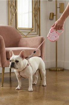 Автоматичний повідець для собак з квітковим мотивом - пастельний рожевий