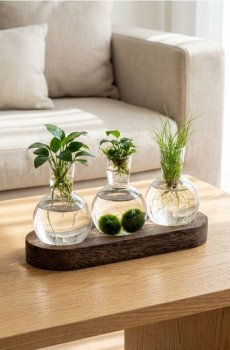 Набір для розмноження рослин з трьома пробірками на підставці - clear