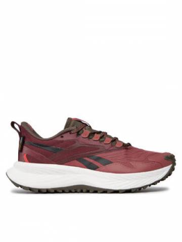 Reebok Взуття для бігу Floatride Energy 5 Adventure HQ9061 Червоний Reebok Взуття для бігу Floatride Energy 5 Adventure HQ9061 Червоний