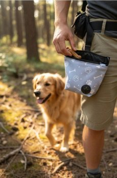 Сумка для прогулянок і тренувань для власників тварин - сірий
