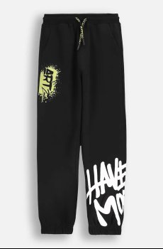 Детские спортивные штаны Coccodrillo