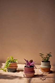 Соевая свеча Paddywax Folia 141 g