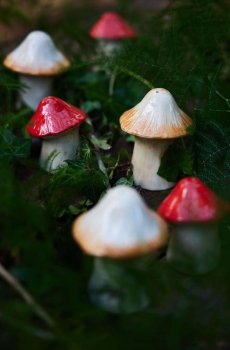 Перечница и солонка Byon Mushi