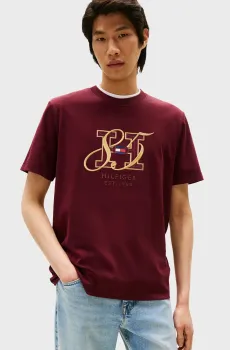 Мужская бордовая футболка DIWALI INTERLOCK Бордовый L Tommy Hilfiger MW0MW39569