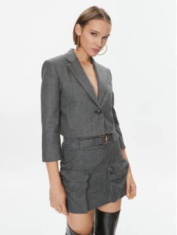 Pinko Піджак Godzilla 102304 A07P Сірий Regular Fit Pinko Піджак Godzilla 102304 A07P Сірий Regular Fit