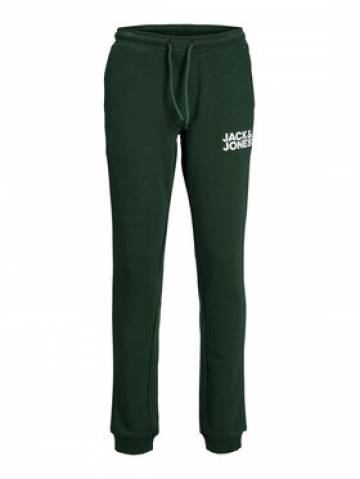 Jack&Jones Junior Спортивні штани 12179798 Зелений Slim Fit Jack&Jones Junior Спортивні штани 12179798 Зелений Slim Fit
