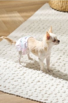 Підгузки для собак 10 pack - різнобарвний