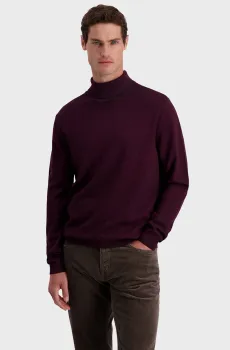 Мужской бордовый шерстяной гольф Бордовый XXL Pierre Cardin PC.-C5 52243.5176
