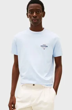 Мужская голубая футболка MONOTYPE ALL AMERICAN TEE Голубой M Tommy Hilfiger MW0MW38644