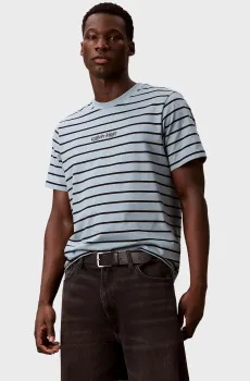 Мужская голубая футболка в полоску 16S STRIPE EASY LOGO Голубой M Calvin Klein Jeans LV04RG236G