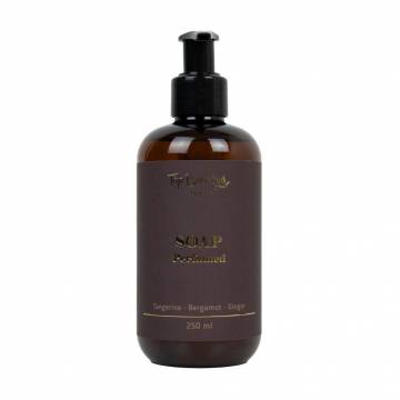 Парфюмированное жидкое мыло для рук и тела Top Beauty Soap Perfumed Мандарин-Бергамот-Имбирь, 250 мл Парфюмированное жидкое мыло для рук и тела Top Beauty Soap Perfumed Мандарин-Бергамот-Имбирь, 250 мл