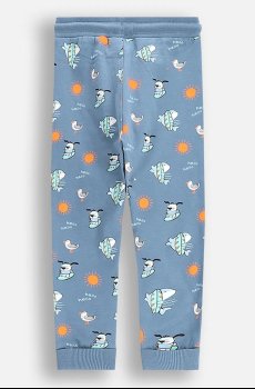 Детские спортивные штаны Coccodrillo