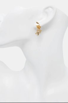 Позолоченные серьги Aldo DREAMSIE