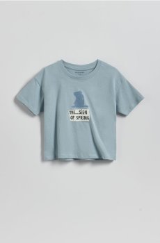 Reserved - Бавовняна футболка - світло-блакитний - 911HR-50X