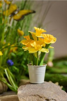 Декоративна рослина в горщику - світло-жовтий