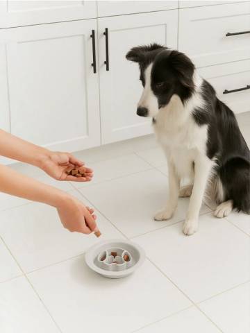 Миска для собак - сірий Миска для собак - сірий