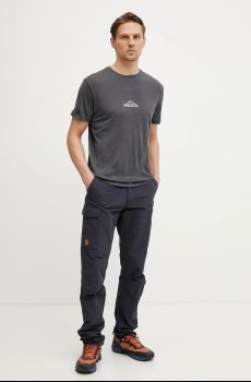 Спортивная футболка Icebreaker Road to Cook