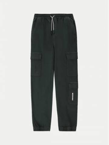 Coccodrillo Joggery WC4119101NAJ Зелений Regular Fit Coccodrillo Joggery WC4119101NAJ Зелений Regular Fit