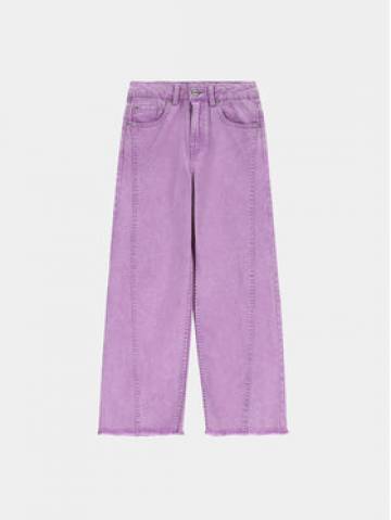 Coccodrillo Джинси ZC3123102JCG Фіолетовий Regular Fit Coccodrillo Джинси ZC3123102JCG Фіолетовий Regular Fit