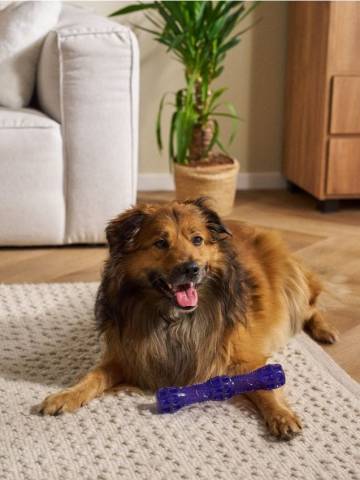 Іграшка для собак - фіолетовий Іграшка для собак - фіолетовий