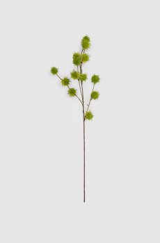 Декоративная ветвь