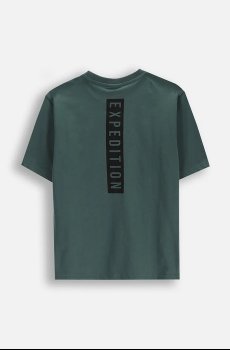 Футболка Coccodrillo