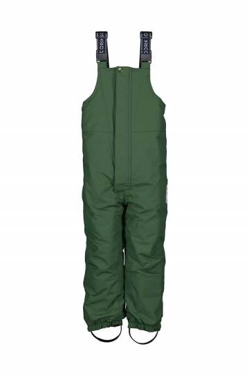 Детские лыжные штаны Didriksons TARFALA KIDS PANTS цвет зелёный Детские лыжные штаны Didriksons TARFALA KIDS PANTS цвет зелёный