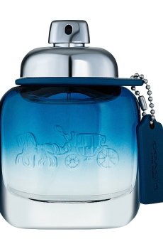 Coach Blue 2020 Туалетная вода мужская, 40 мл