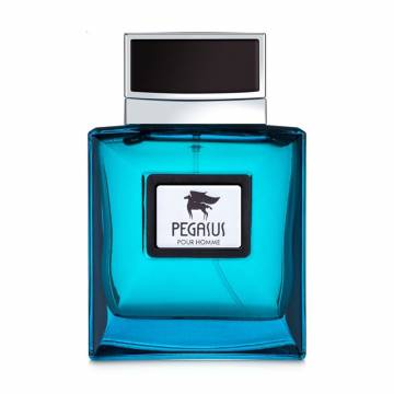 Flavia Pegasus Pour Homme Парфюмированная вода мужская, 100 мл Flavia Pegasus Pour Homme Парфюмированная вода мужская, 100 мл