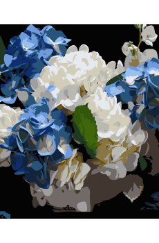 Картина за номерами Strateg Блакитно-білі гортензії на чорному фоні 40 х 50 см (AH1247)