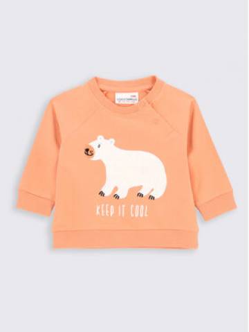 Coccodrillo Світшот ZC2143105ARN Оранжевий Regular Fit Coccodrillo Світшот ZC2143105ARN Оранжевий Regular Fit