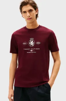Мужская бордовая футболка DIAMOND Бордовый L Tommy Hilfiger MW0MW40020