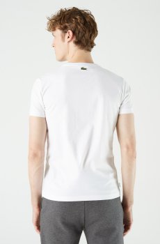 Lacoste футболка чоловіча