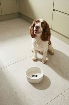 Керамічна миска для тварин з виступаючим малюнком кістки - кремовий