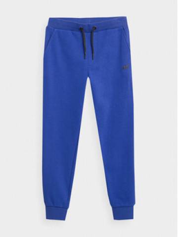 4F Спортивні штани 4FJAW23TTROM411 Голубий Regular Fit 4F Спортивні штани 4FJAW23TTROM411 Голубий Regular Fit