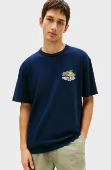Мужская темно-синяя футболка NOVELTY Синий XL Tommy Jeans DM0DM22512