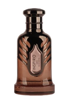 Riiffs Perfumes Inspiro Men Парфюмированная вода мужская, 100 мл