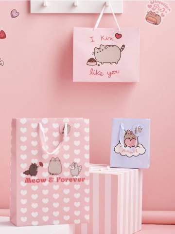 Подарунковий пакет 3 pack Pusheen - різнобарвний Подарунковий пакет 3 pack Pusheen - різнобарвний