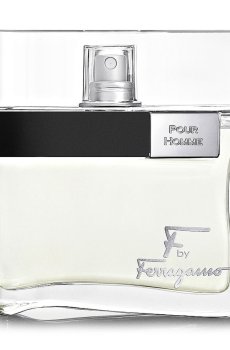 Salvatore Ferragamo F by Ferragamo Pour Homme Туалетная вода мужская, 100 мл