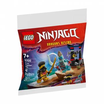 Конструктор LEGO Ninjago Арин против Дракона: Битва, 48 деталей, от 7 лет (30700) Конструктор LEGO Ninjago Арин против Дракона: Битва, 48 деталей, от 7 лет (30700)