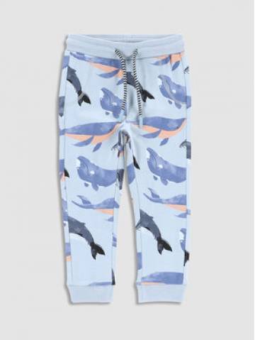Coccodrillo Спортивні штани WC3122101NWN Блакитний Regular Fit Coccodrillo Спортивні штани WC3122101NWN Блакитний Regular Fit