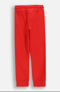 Детские спортивные штаны Coccodrillo